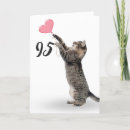 Suche nach graue tabbykatze Kätzchen