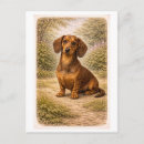 Recherche de chien teckel cartes postales Animal de compagnie