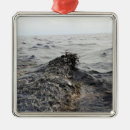 Suche nach mexiko ornamente Wasser