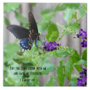 Suche nach der schmetterling fliesen Christlich