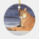 Suche nach puma ornamente Berglöwe