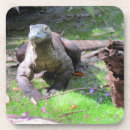 Suche nach hard untersetzer Natur