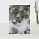 Recherche de moineaux vœux cartes Hiver