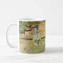 Recherche de suricate tasses Pour tous