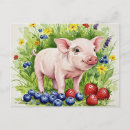 Suche nach niedliche schweine postkarten Baby