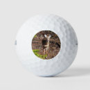 Recherche de golfe photographie Nature