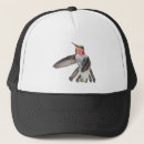 Recherche de de colibri casquettes Photographie