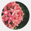 Recherche de photos numériques autocollants Floral