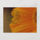 Suche nach irischer segen postkarten Keltisch