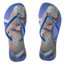 Recherche de dragon chaussures Adorable