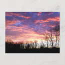 Recherche de arbre jaune cartes postales Hiver