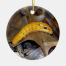Suche nach gelber schmetterling ornamente Weihnachten