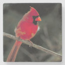 Suche nach roter vogel untersetzer Vogelvogel