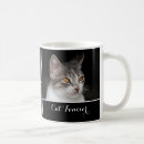 Recherche de fancier de chat Animaux