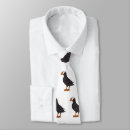 Recherche de bouffon Oiseau