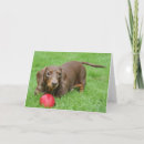 Recherche de teckel mignon vœux cartes Chiot
