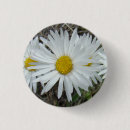 Suche nach wildblumen buttons Blumig