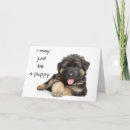 Suche nach 40 geburtstag karten Hund