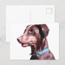 Suche nach pinscher postkarten Dobermann