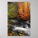 Suche nach wasser pflanze poster Herbst