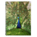 Suche nach pfau notizbuch Blau