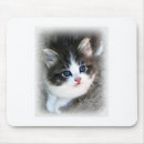 Recherche de photograph tapis souris Cool