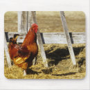 Suche nach hähne mousepads Tier