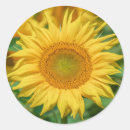Recherche de tournesol autocollants Jardin