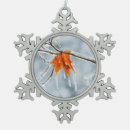 Suche nach ahornblatt ornamente Natur