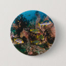 Recherche de aquarium badges Aquatique
