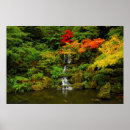 Suche nach acer poster Flora