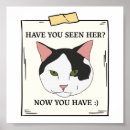 Suche nach vermisst poster Vermisstes haustier