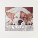 Recherche de familiers posters Pour animaux