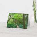 Suche nach olympisch karten Waschbecken