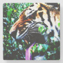 Recherche de parfum dessous de verres Orange