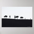 Suche nach black and white photography poster Outdoors