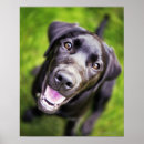 Recherche de corps ver posters Partie du corps animal