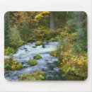 Suche nach ahorn mousepads Laub