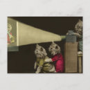 Recherche de soiree cartes postales Chats