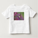 Recherche de hummingbird tshirts Couleur