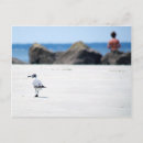 Suche nach vogel auf felsen poster Strand