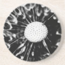 Recherche de pissenlit dessous de verres Nature