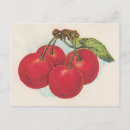 Recherche de cerises rouges cartes postales Vintage