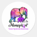Recherche de chromosome autocollants Droit