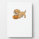 Recherche de os plaques Animal