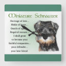 Recherche de schnauzer miniature art Mignon