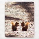 Suche nach eichhörnchen mousepads Bilder