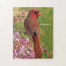 Recherche de cardinal puzzles Oiseau