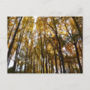 Suche nach herbstblätter postkarten Gelb