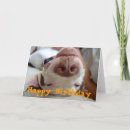 Recherche de chien pitbull vœux cartes Heureux